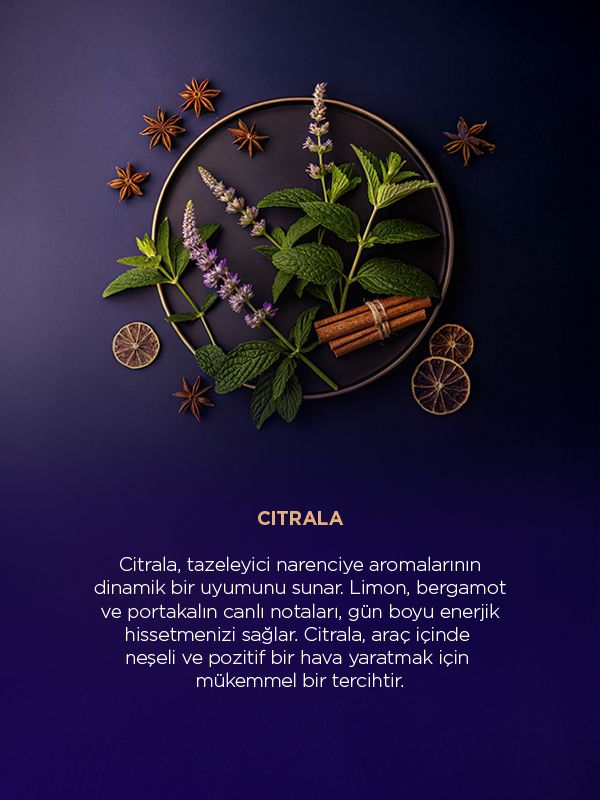 Z1 Trinity Serisi (3'lü Full Set)