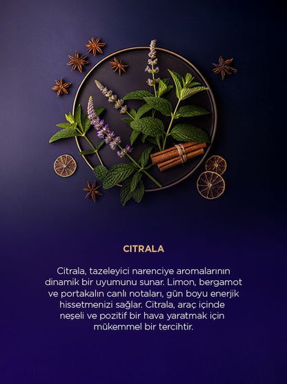 Z1 Trinity Serisi (3'lü Full Set)